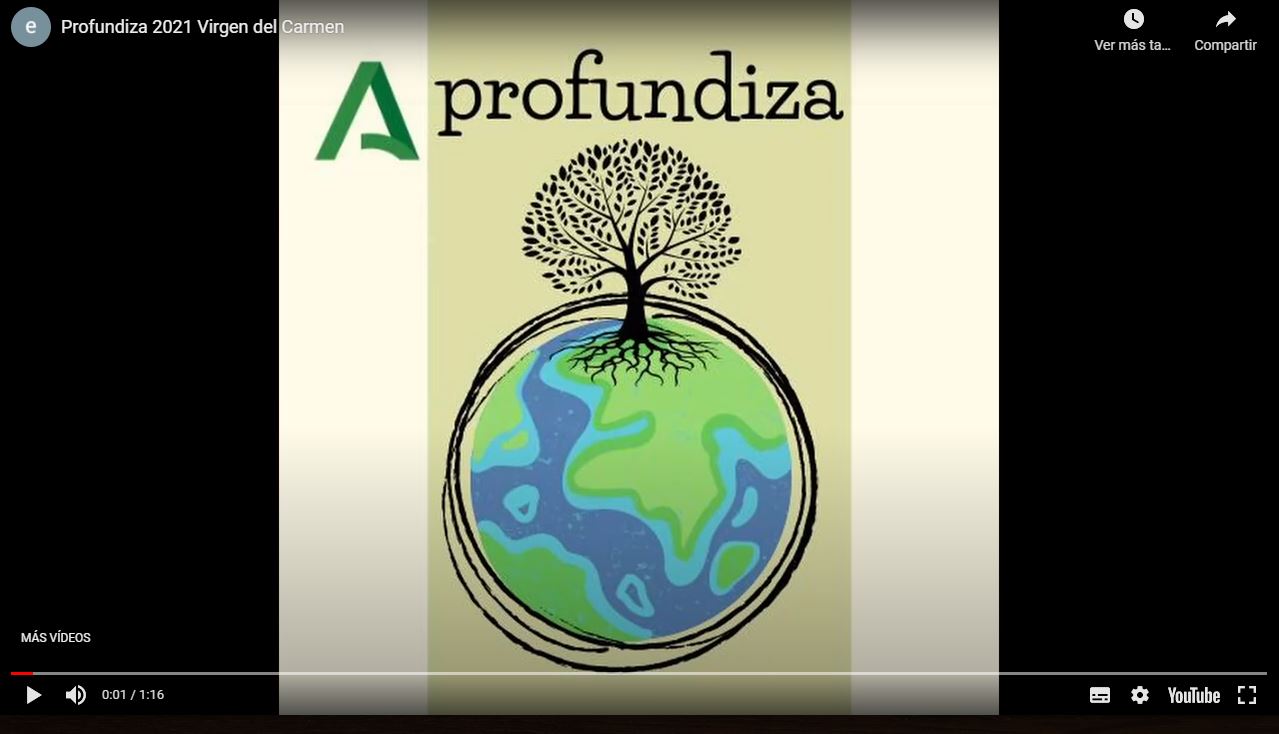 profundiza